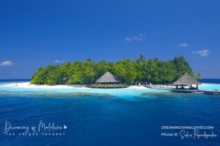 3 des Plus Beaux Atolls des Maldives pour le Snorkeling