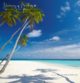 belle plage maldives cocotiers