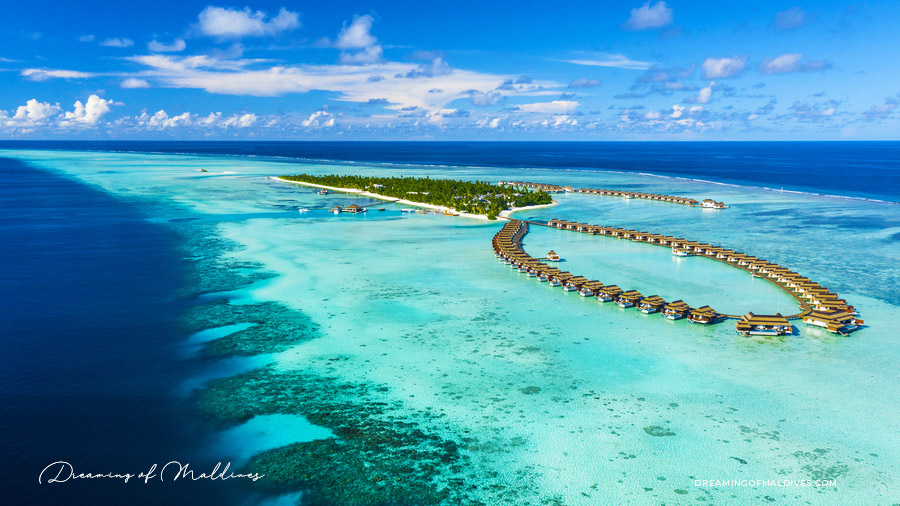 Pullman Maldives Maamutaa Resort 
luxe tout-inclu