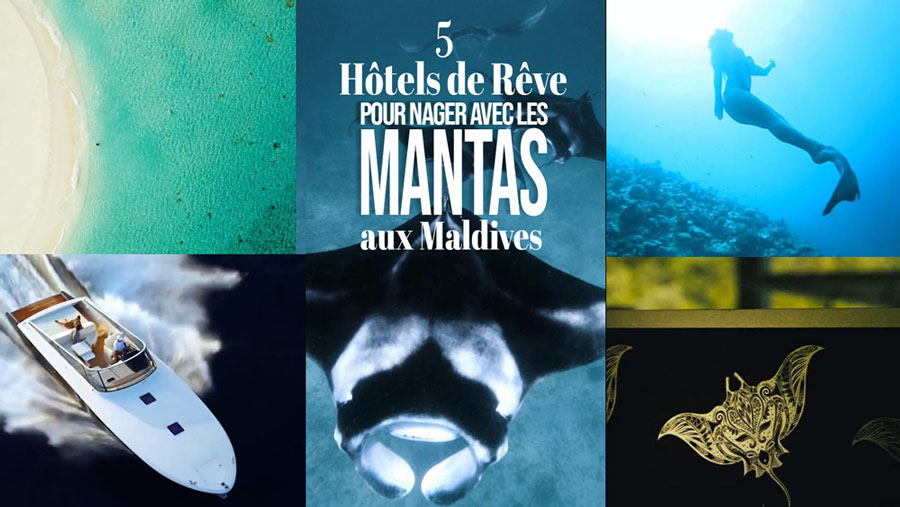 5 Htels de Rve pour Nager avec les raies Manta aux Maldives meilleurs htels luxe maldives