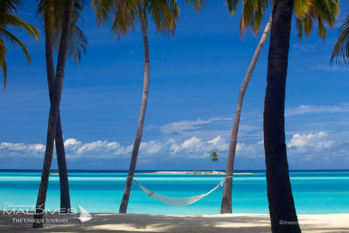 Gili Lankanfushi Maldives - One Palm Island a small private island exclusively used by the resort