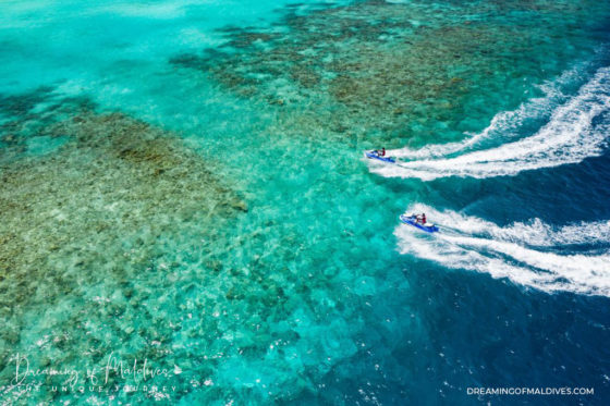 Diving & Snorkeling In Baa Atoll At Amilla Maldives. Diver Interview