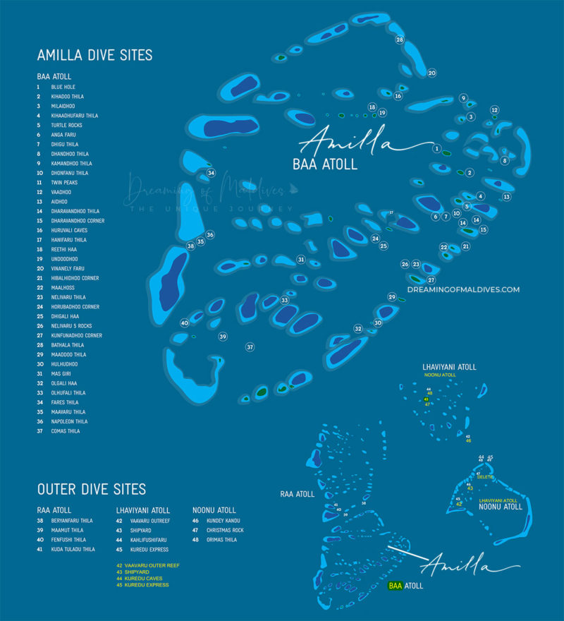 Diving & Snorkeling At Amilla Maldives From A Diver Point Of View 