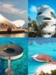 best architecture maldives resorts The Maldives Resorts with Masterful Architecture