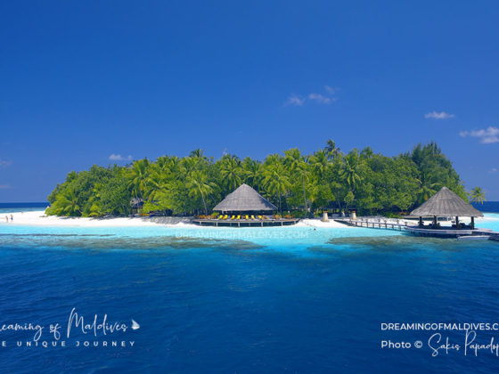 Snorkeling with an Octopus, Cheval Blanc Randheli, Maldives