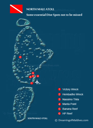 North Male Atoll Scuba Diving Guide