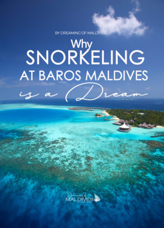 Snorkeling at Baros Maldives | The Resort House Reefs in images