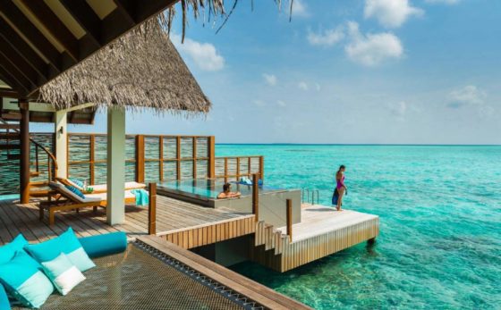 Four Seasons Maldives new private seaplane : the Flying Boxfish.