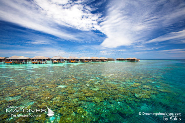 Where Is The Best Snorkeling In Maldives The Best Resorts We Ve Seen