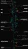 Map of Maldives Airports and Their Atolls