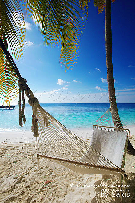 Photo Gallery of Dreamy Hammocks in Maldives | DO NOTHING & RELAX