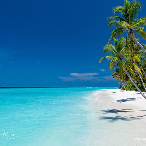 Dreaming of Maldives Blog | The Dreamy Maldives Travel Guide