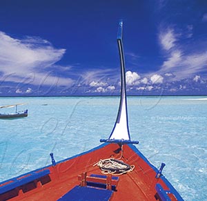 maldives dhonis