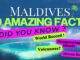 Maldives Did You KNow. Video