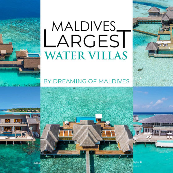 Dreaming of Maldives The Blog | The Dreamy Maldives Travel Guide