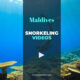 maldives snorkeling videos