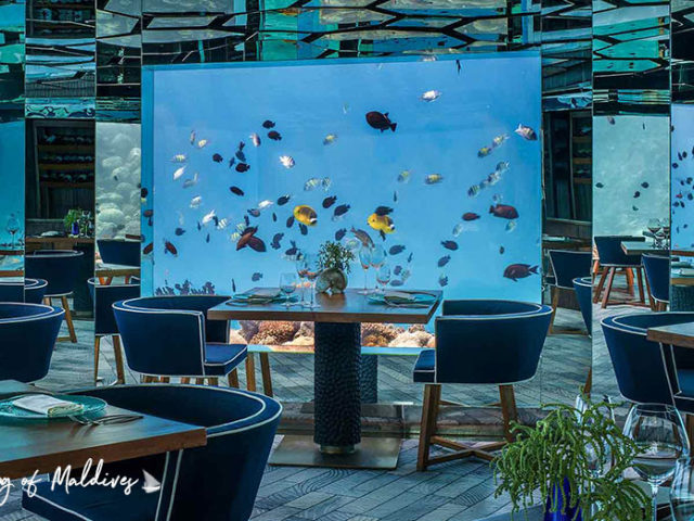 7 Underwater Restaurants In Maldives For A Dream Dining Under The Sea   Maldives Underwater Wonderful Structures 640x480 