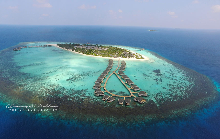 NEW! Rotera in Maldives Swirl 🌊 - Bru Mate
