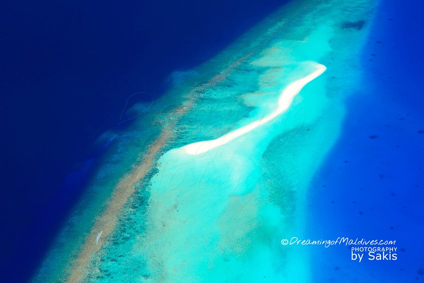 Sand bank maldives что это