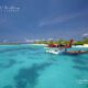 maldives seaplane