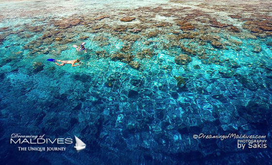 Snorkeling Resort Maldives 560x340 