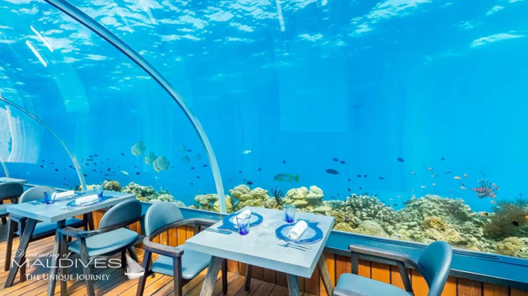 The Underwater Restaurant At Hurawalhi Maldives The