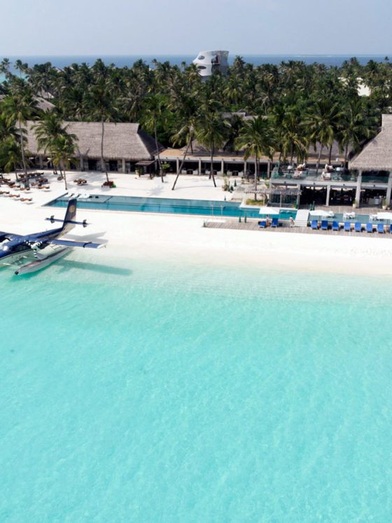 Dreaming of Maldives Blog | The Dreamy Maldives Travel Guide