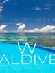 Video W Maldives Luxury resort