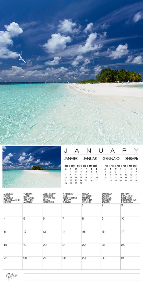 2025 Calendar With Holidays Maldives 