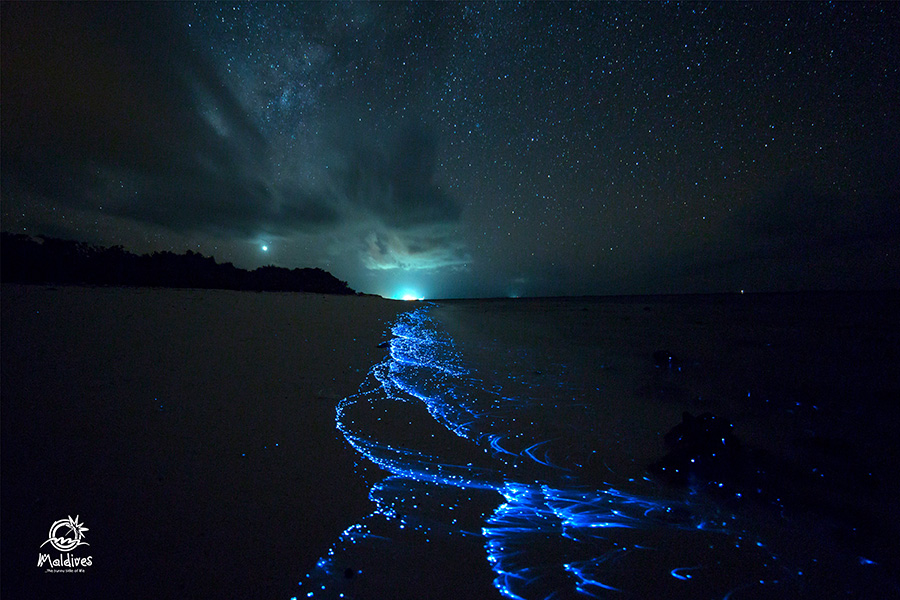 Glowing Beach in Maldives Free desktop Wallpaper | Maldives Background