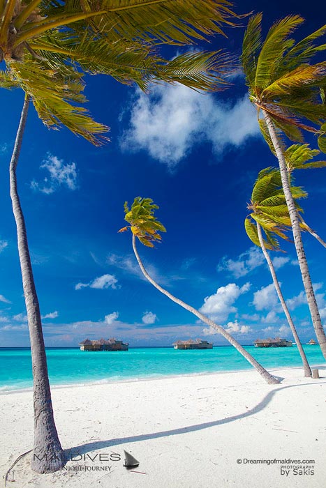 Maldives Paradise Islands - Paradise Beaches