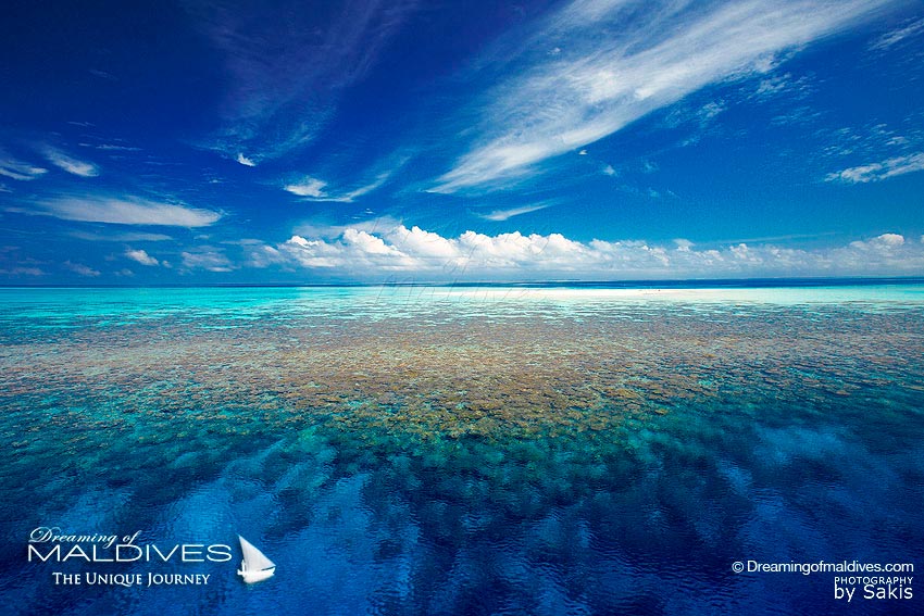 Maldives Paradise Islands - Amazing Coral Reefs