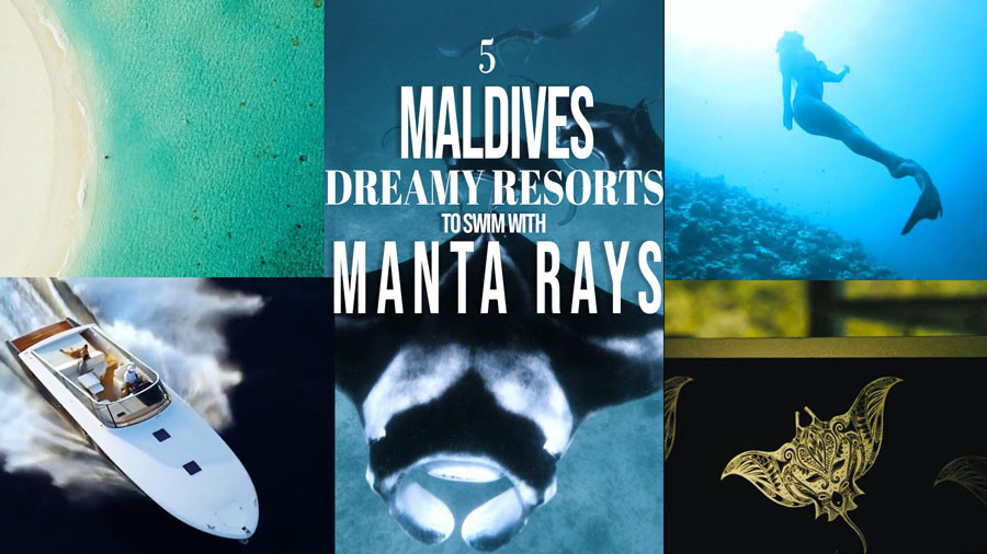Video of The Best of Maldives in 10 minutes