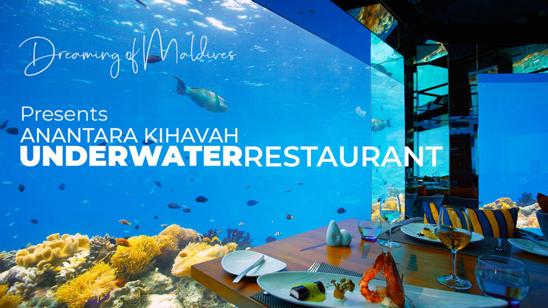 Underwater Restaurant Kihavah Maldives Video