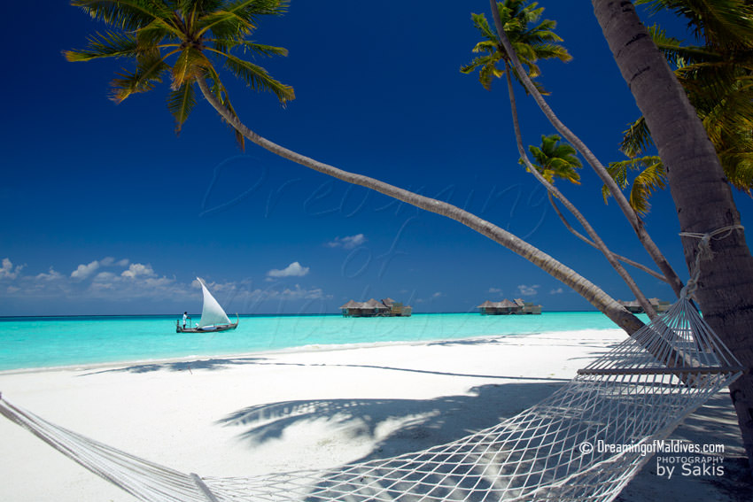 Gili Lankanfushi Maldives Resort Photo Gallery
