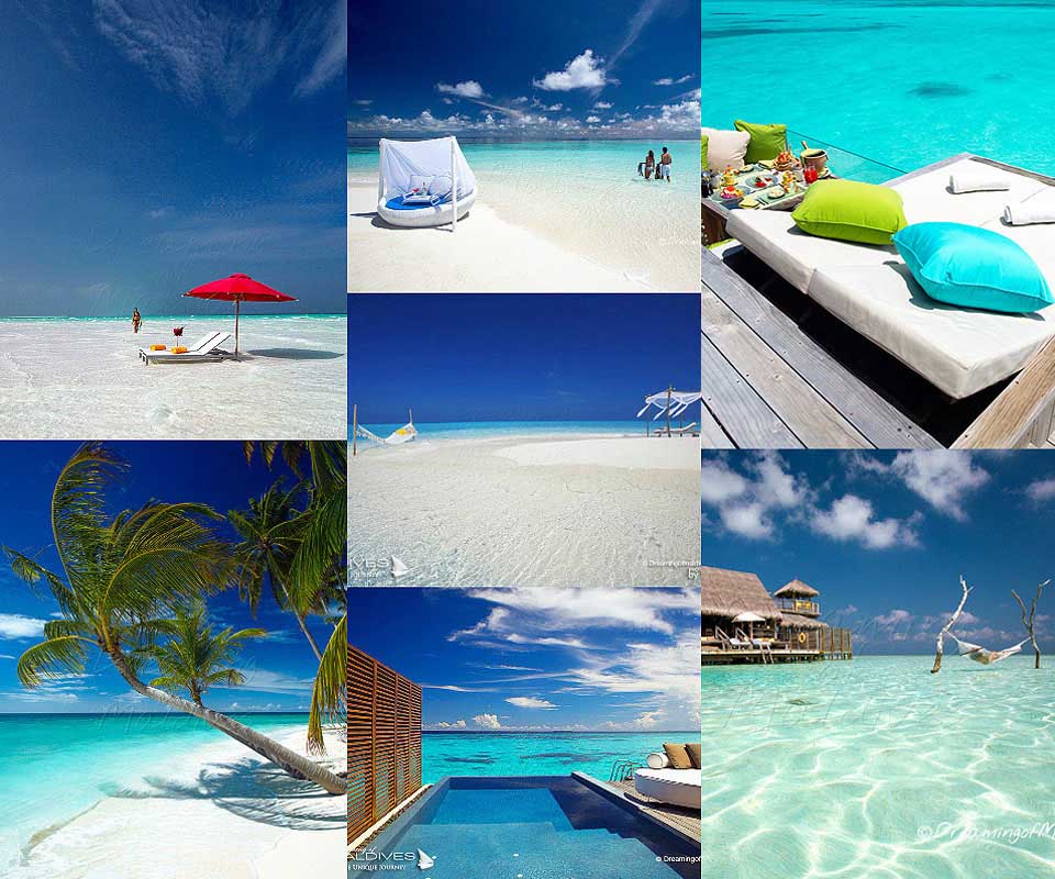 maldives best resorts reviews