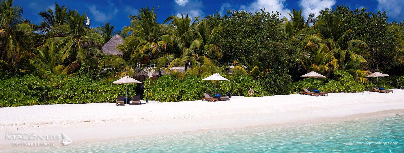 W Maldives Retreat & Spa Beach Villas Beach Oasis